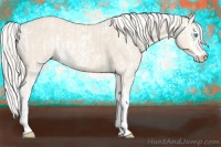 Horse Color:Cremello Sabino  and Cremello Sabino 