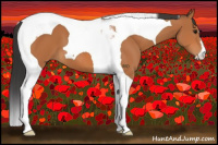 Horse Color:Bay Tobiano 