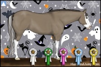 Horse Color:Smoky Grullo Splash