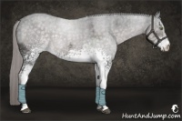 Horse Color:Platinum White Spotted Chocolate Palomino Roan Rabicano 