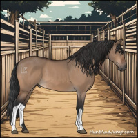 Horse Color:Bay Dun
