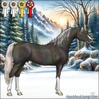 Horse Color:Midnight Silver Classic Champagne Ice Dun Splash Frame