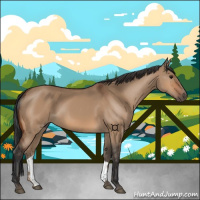 Horse Color:Bay Dun