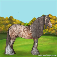 Horse Color:Bay Varnish  and Amber Champagne Varnish 