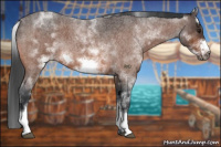Horse Color:White Spotted Brown Roan Frame 