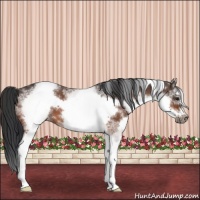 Horse Color:White Spotted Brown Roan Frame