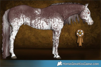 Horse Color:Chocolate Silver Black Chinchilla  and White Spotted Chocolate Black Chinchilla