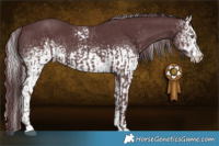 Horse Color:Chocolate Silver Black Chinchilla  and White Spotted Chocolate Black Chinchilla 