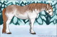 Horse Color:White Spotted Red Roan 