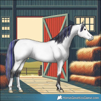 Horse Color:Platinum Painted Buckskin Roan 