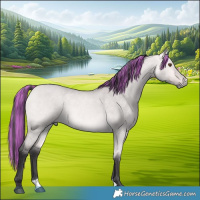 Horse Color:Platinum Painted Buckskin Roan Dun 
