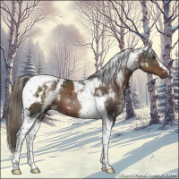 Horse Color:White Spotted Liver Chestnut Mushroom Tobiano 