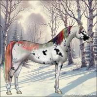 Horse Color:Painted Plaid  White Spotted Grullo Ice Onyx Splash 