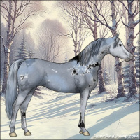 Horse Color:Watercolor White Spotted Black Ice Sabino 