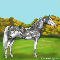 Horse Color:White Spotted Silver Black Chinchilla Splash 