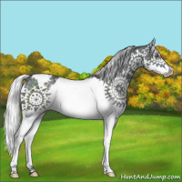 Horse Color:White Spotted Silver Black Chinchilla Splash 