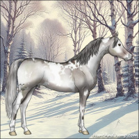 Horse Color:Platinum White Spotted Liver Red Dun Onyx Mushroom 