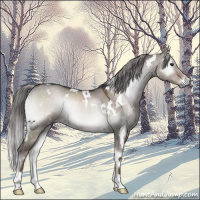 Horse Color:Platinum White Spotted Liver Red Dun Onyx Mushroom 