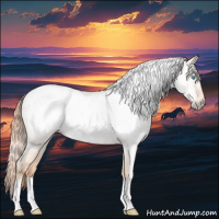Horse Color:Gray Perlino Appaloosa