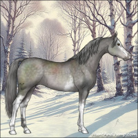 Horse Color:Platinum White Spotted Liver Red Dun Mushroom 
