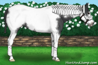 Horse Color:Black Tobiano Frame 