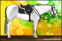 Horse Color:White Spotted Bay Chinchilla Tobiano 