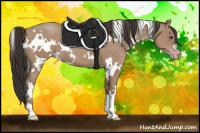 Horse Color:White Spotted Classic Champagne 