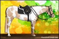 Horse Color:White Spotted Buckskin Pearl 