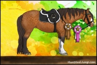 Horse Color:Buckskin Varnish