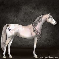 Horse Color:Watercolor Chocolate Palomino Pearl Onyx Mushroom Appaloosa 