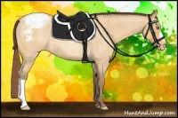 Horse Color:Sable Cream Champagne Roan Appaloosa