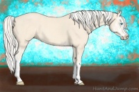 Horse Color:Cremello Splash  and Cremello Splash 
