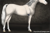 Horse Color:Cremello Splash  and Cremello Splash Frame 