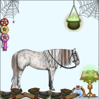 Horse Color:Bay Dun Leopard 