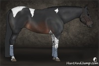 Horse Color:Brown Tobiano 
