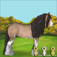 Horse Color:Brown Dun Sabino Rabicano 