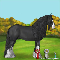 Horse Color:Black Sabino 