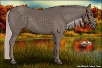 Horse Color:Silver Black 