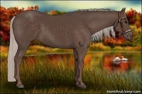 Horse Color:Silver Black 