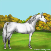 Horse Color:Gray Void Silver Black Chinchilla Splash Tobiano Varnish