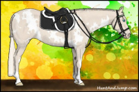 Horse Color:White Spotted Smoky Creme Roan