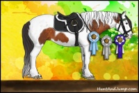 Horse Color:Buckskin Splash Tobiano 