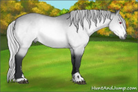 Horse Color:Silver Bay Chinchilla Sabino 