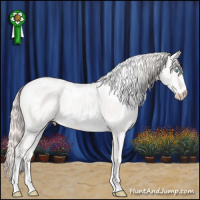 Horse Color:White Spotted Perlino 