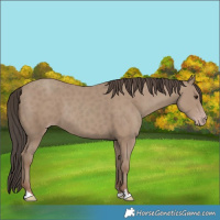 Horse Color:Classic Champagne 