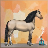 Horse Color:Bay Dun 