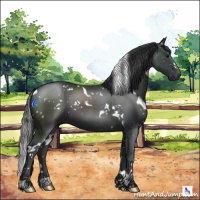 Horse Color:White Spotted Black