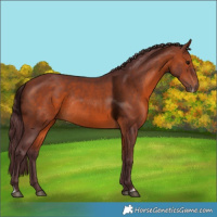 Horse Color:Chocolate Brown Frame Rabicano