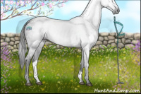 Horse Color:Gray Black 