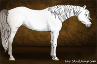 Horse Color:Gray Smoky Grullo Pearl 